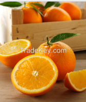 KENYAN ORANGES