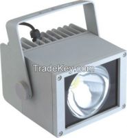 LED Flood Light