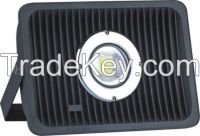 LED Flood Light