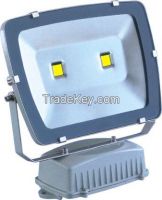 LED Flood Light