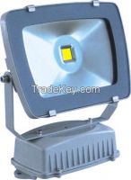 LED Flood Light