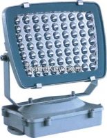 LED Flood Light