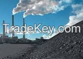 Steam Coal