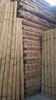 Bamboo poles, bamboo canes, dried yellow for agricultural and furniture