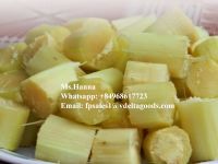 Fresh sugar cane for juice/Ms.Hanna	