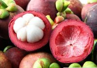 Fresh mangosteen fruit for sales/Vietnam mangosteen/Ms.Hanna	