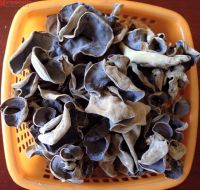 Dried black fungus mushroom from Vietnam/Ms.Hanna