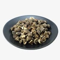 Bulk factory Price high quality Moringa Seed For Sale ( Anna + 84988332914)