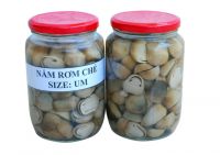 Straw mushroom canned best taste from Vietnam/Ms.Hanna	