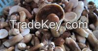 Frozen bolete mushroom/Vietnam special food/Ms.Hanna	