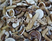 Organic bolete mushroom havest from forest/Origin Vietnam/Ms.Hanna	