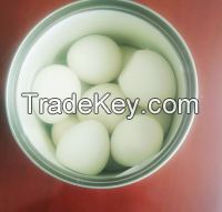 Canned boiled quail eggs - Quail eggs without shell Whatsapp +84 947 900 124