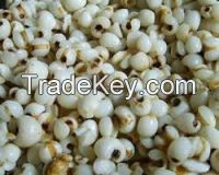 COIX SEEDS with a best quality in 2018 (Anna +84988332914/Whatsapp)