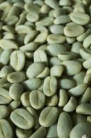 Bulk organic green coffee bean for beauty/Ms.Hanna