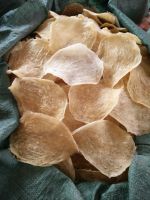 Dried fish bladder/High quality fish maw/Ms.Hanna	