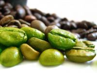 Vietnam arabica green coffee bean/Ms.Hanna