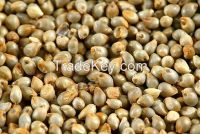 Green Millet