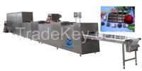 chocolate moulding machine