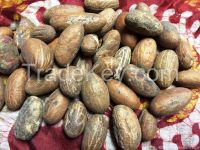 Bitter kola nuts