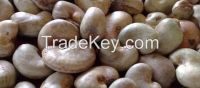 RAW CASHEW NUT