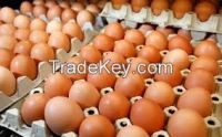 Fresh Brown/white Eggs