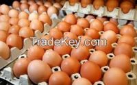 High Fresh Table Eggs Brown And White !!! Top Supplier !!!