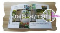 Top Quality Case Bound Book Printing