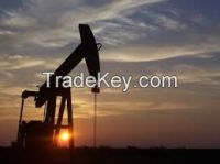 Crude oil 