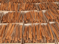 cinnamon with cheap price and high quality