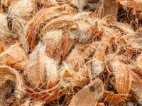 Coconut Fiber with high quality and cheap price