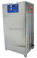 Air Fed Ozone Generator 10g/h for water disinfection