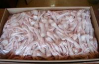 Buy High Quality Processed Frozen Chicken Feet AND Chicken Paws