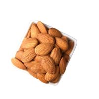 Hot selling fresh almond nut raw material nutritious organic almond nut baked goods
