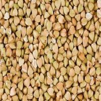 High Quality Hot Seller South Africa Original raw organic buckwheat