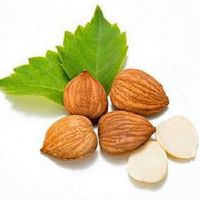 Raw apricot seeds,apricot kernels for sale