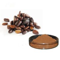 Herbal Extract Theobromine Cocoa Nut Extract as Adaptogen for Health Food