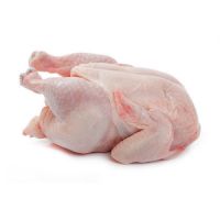 Cheap HALAL Frozen Chicken in bulk. / Frozen chicken legs