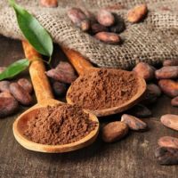 GMP manufacturer 100% pure cocoa seed extract