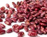 Light Speckled Pinto red Sugar kidney beans price