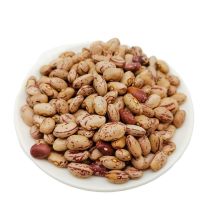 South Africa Light Speckled Red Kidney Beans Market Price