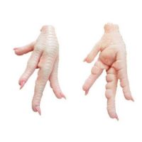 Frozen chicken feet paws in bulk for sale, chicken feet