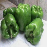 Color Capsicum/Bell Pepper/Fresh Exotic Vegetables!