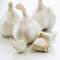New Crop Garlic South Africa fresh garlic pure white garlic price