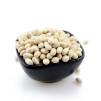Superfine quality quality kidney beans/butter bean/white bean