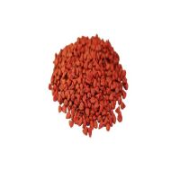 Direct Factory Sale on Perfect Quality Annatto Seeds at Reasonable Price