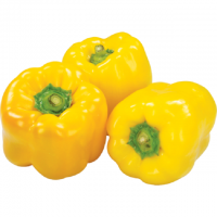 Direct Factory Sale on Bulk Selling Spicy Red Green Fresh Capsicum at Competitive Price