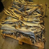 Dry Catfish / Dry Stock Fish Smoked Catfish