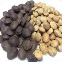 ROASTED SACHA INCHI INCA NUT / SACHA INCHI OIL