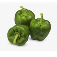 Color Capsicums/Fresh Exotic Vegetables/Bell Peppers!