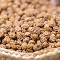 High quality TIGER NUTS Tiger Nuts Organic / Organic Certified Tiger nuts in South Africa